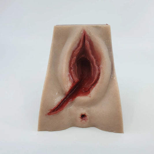 MW225 Perineal Suture Trainer 4th degree tear option image 2