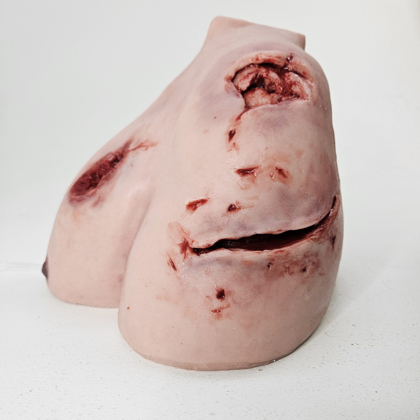 MT830 Trauma Wound Packing Shoulder (Great video below) image 3