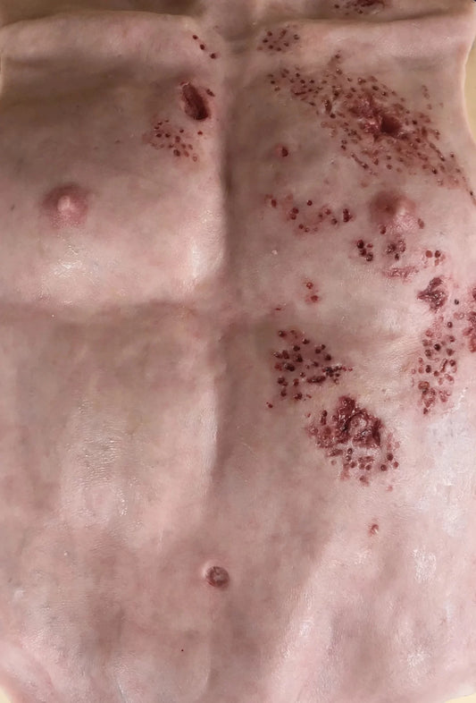 MS330 Torso Gun Shot image 1