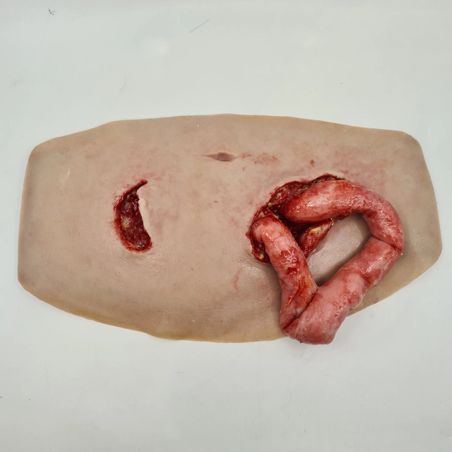 MT310 Eviscerated Belly image 2
