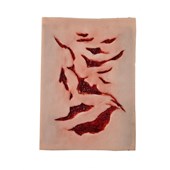 MT020 Multiple Lacerations