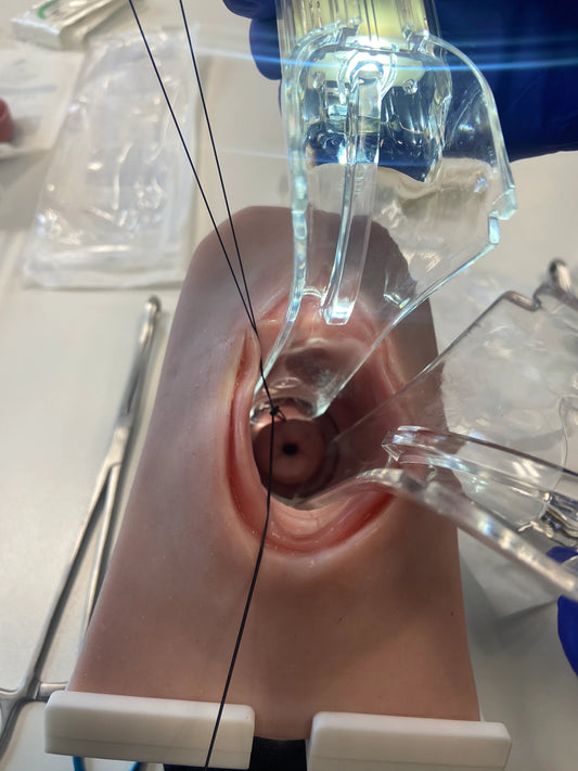 MW230 Cerclage Model