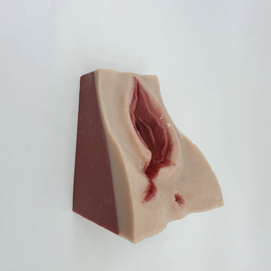 MW225 Perineal Suture Trainer image 1