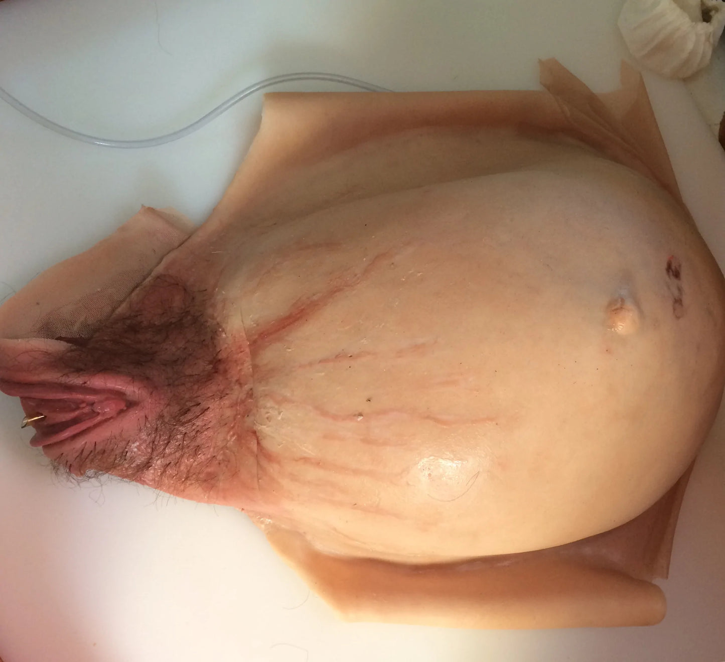 MO750 Wearable C-section model image 2