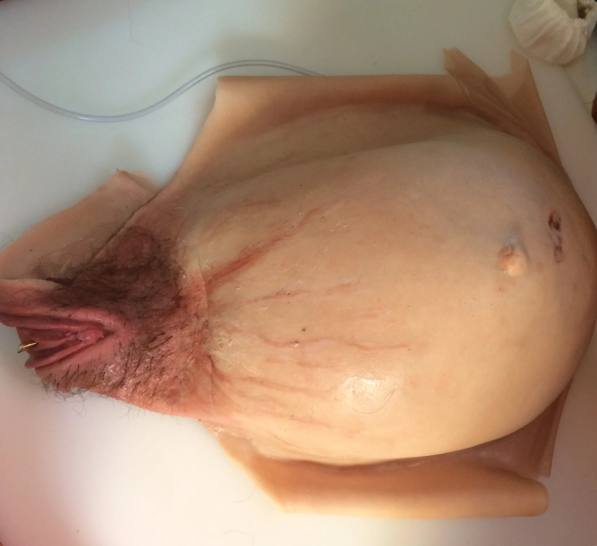 MO750 Wearable C-section model image 2