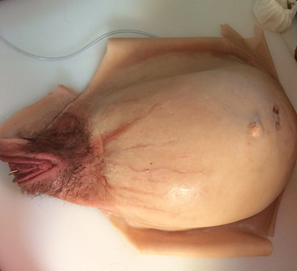 MO750 Wearable C-section model image 2