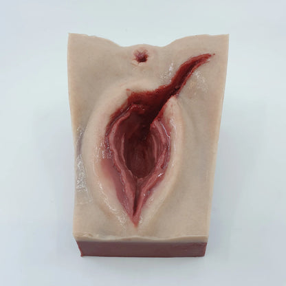 MW225 Perineal Suture Trainer 1st degree tear option image 3