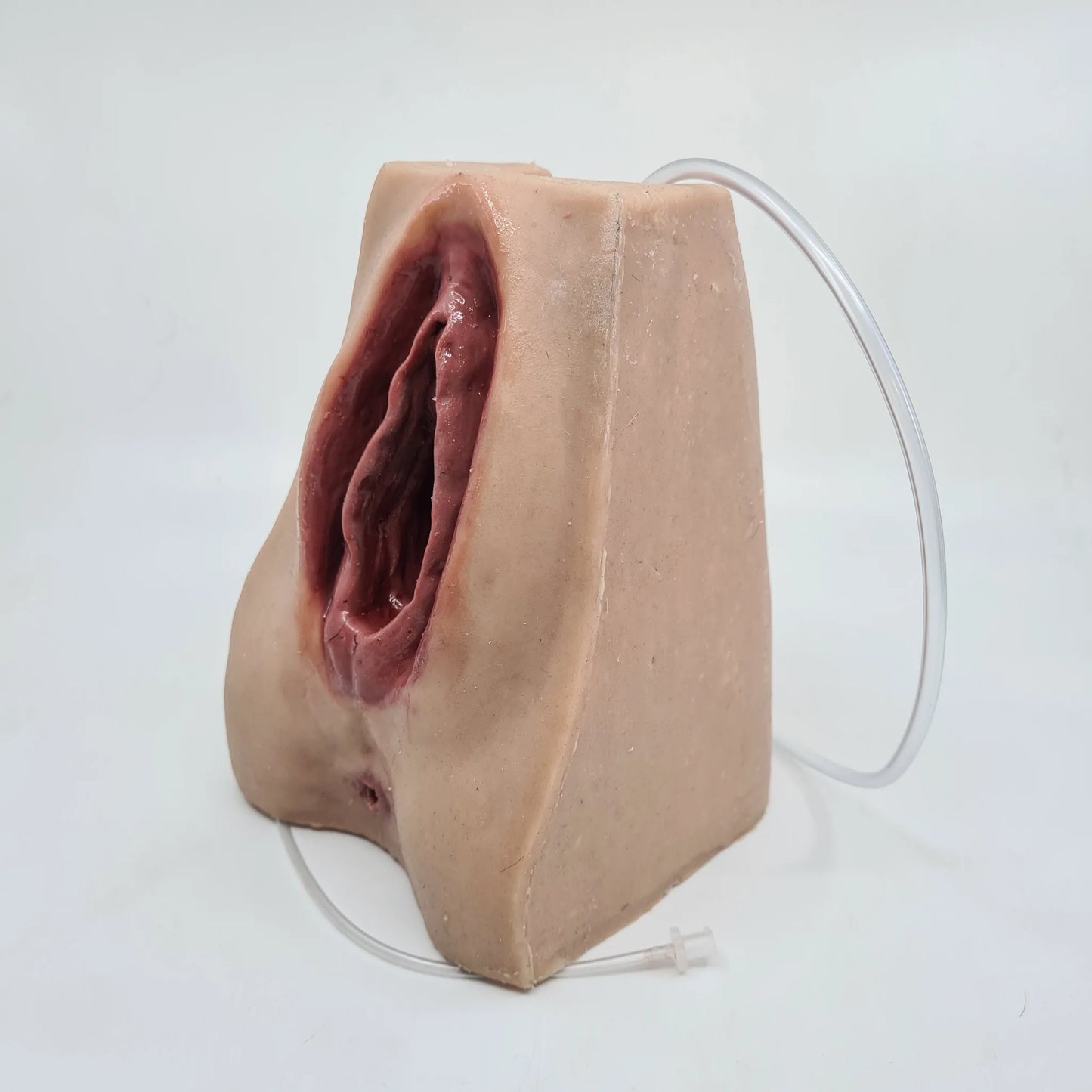 MW227 Advanced Perineal Suture Trainer image 0