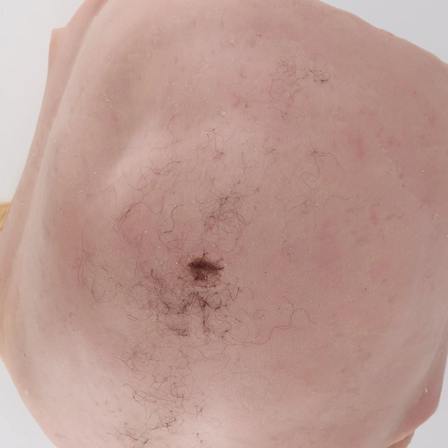 MSURG055 BELLY SKINS for surgical abdominal trainer image 0