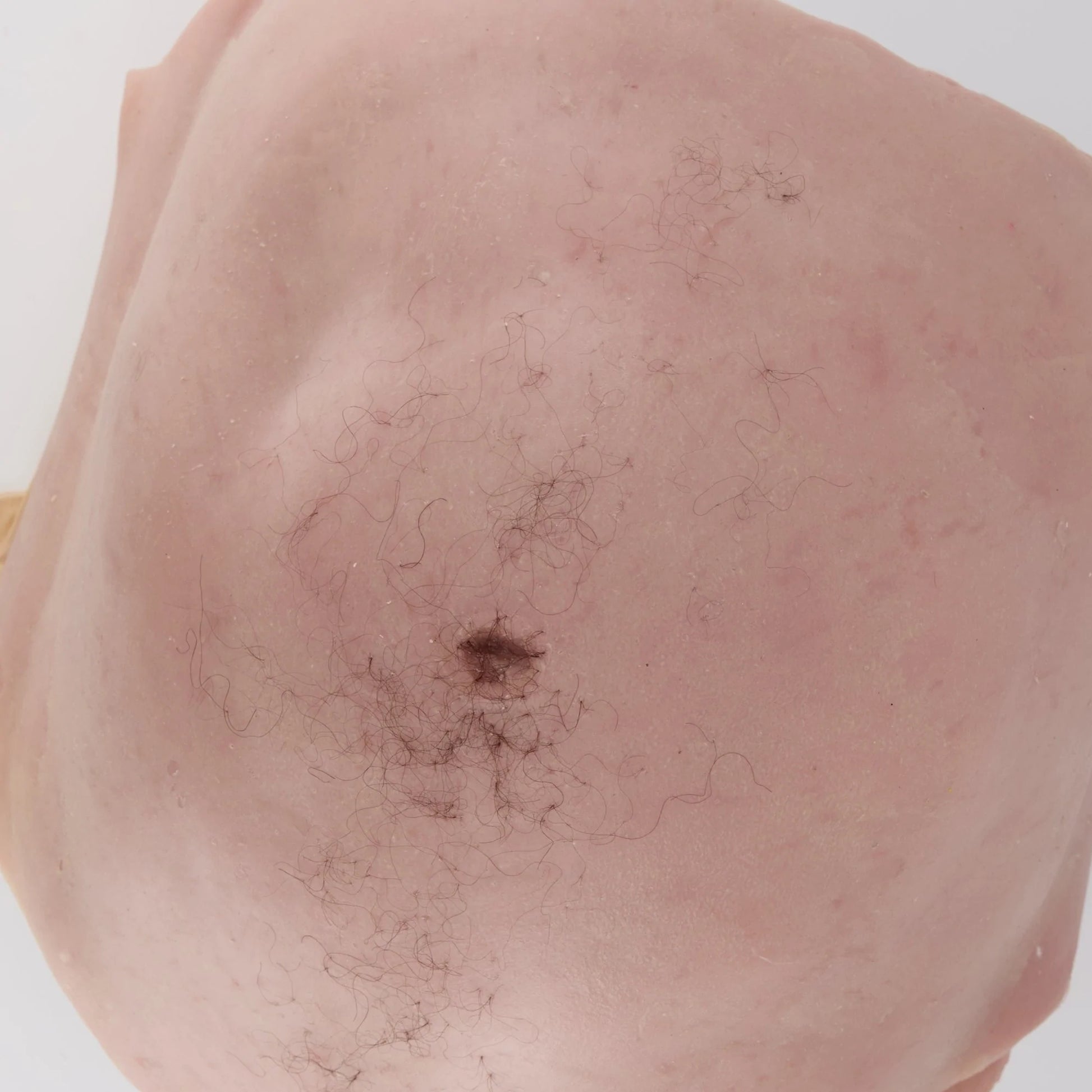 MSURG055 BELLY SKINS for surgical abdominal trainer image 0