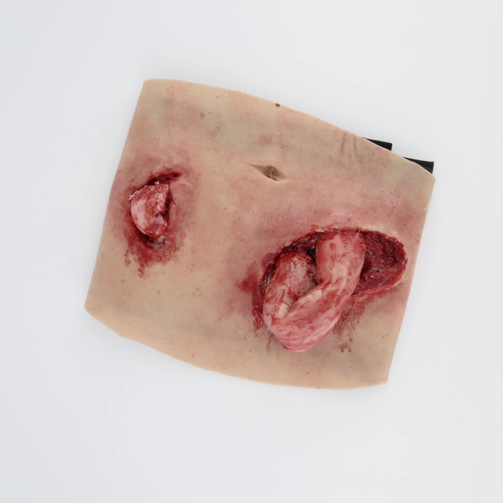 MT310 Eviscerated Belly image 1