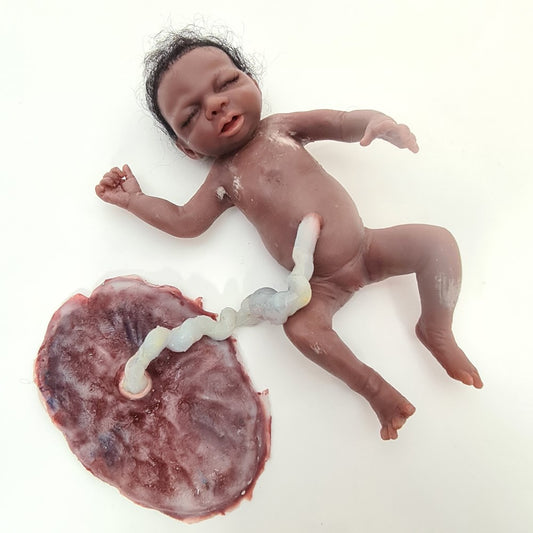 MO813 - Lulu preemie birthing baby image 0
