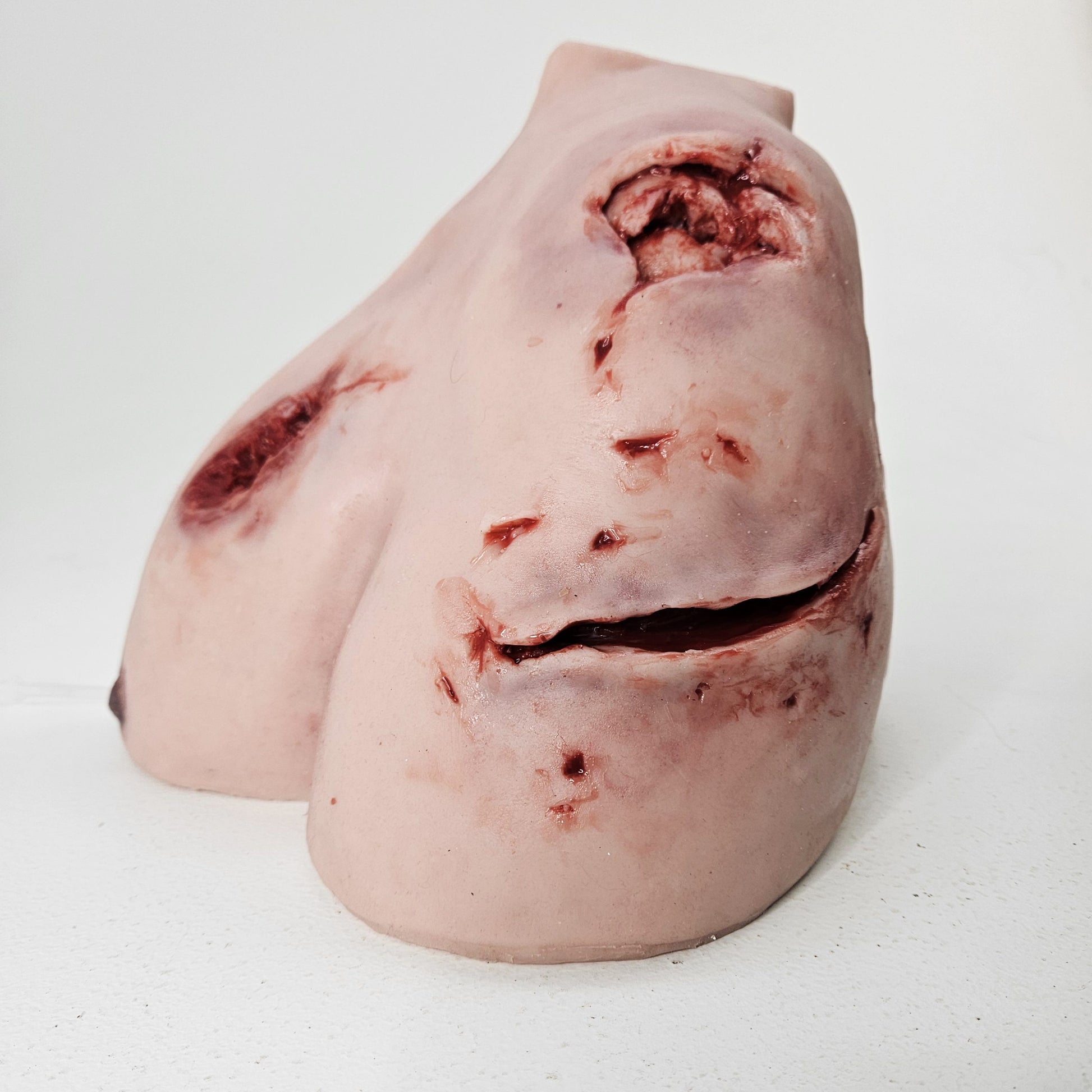 MT830 Trauma Wound Packing Shoulder (Great video below) image 3
