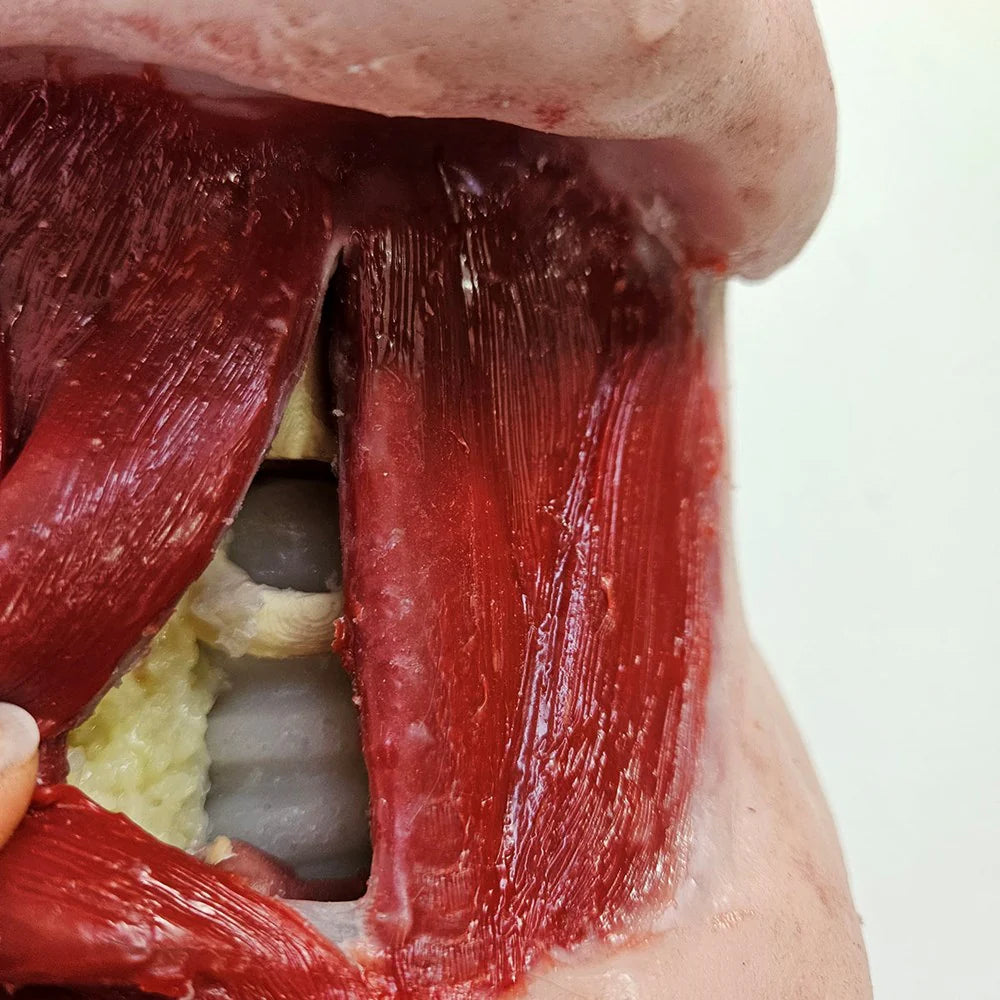 MN860 Conan Fat Neck Model image 1