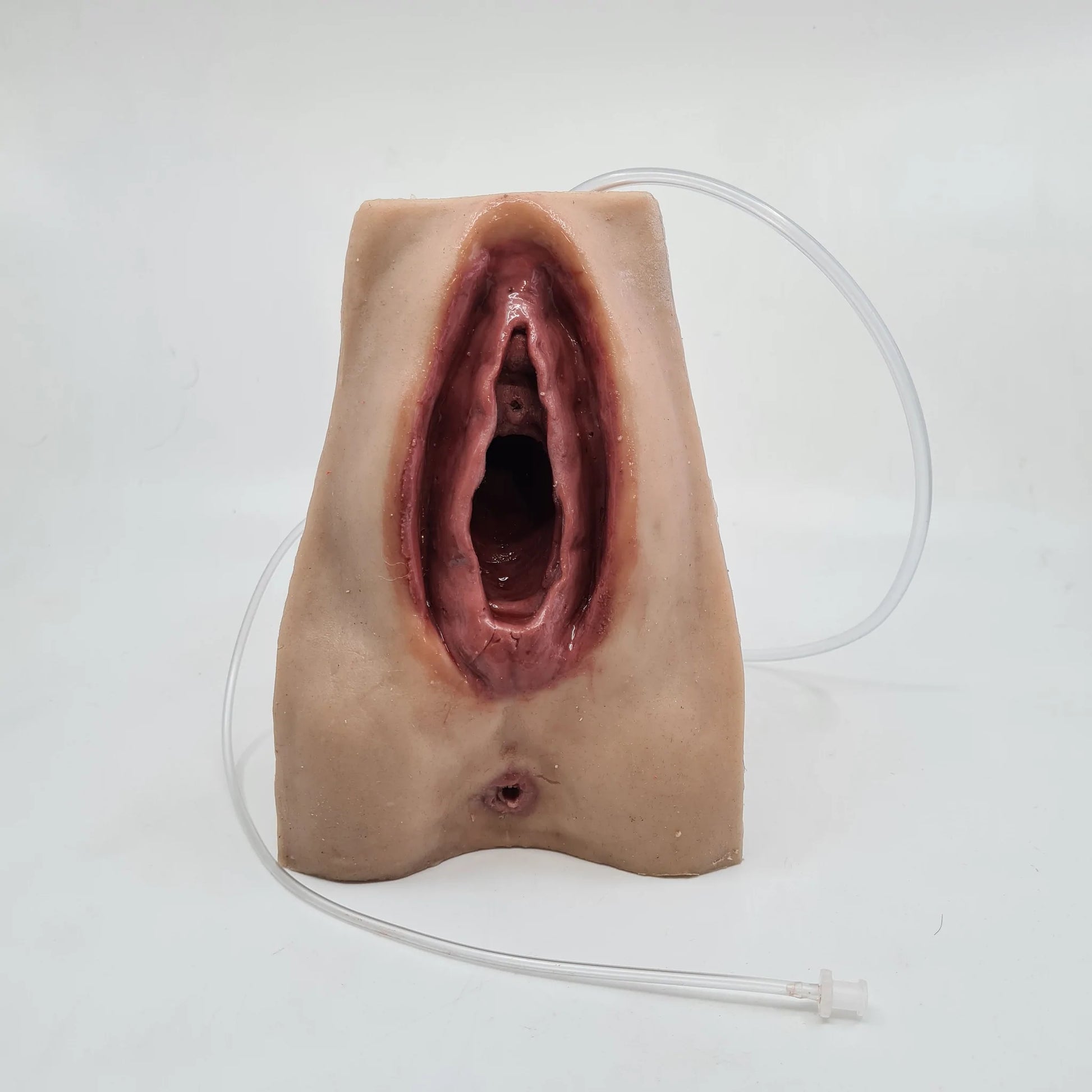 MW227 Advanced Perineal Suture Trainer image 3