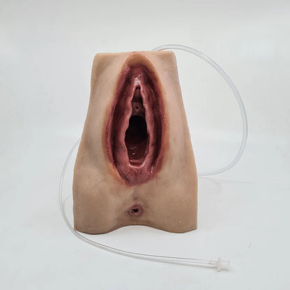 MW227 Advanced Perineal Suture Trainer image 3