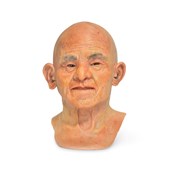 MM330 Mr. Wang - SimMan Facial Overlay