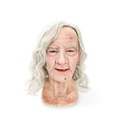 MMCAE250  - Facial Overlay