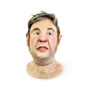 MMG160 Bert Vanderbilt - Gaumard Hal Facial Overlay