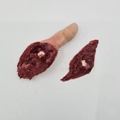 MT423 Severed Male Thumb With Wound