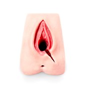 MW225 Perineal Suture Trainer Left Mediolateral Suture