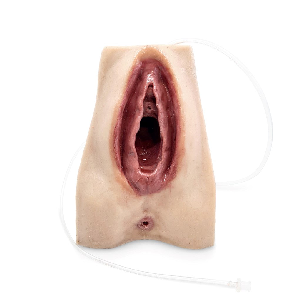 MW227 Advanced Perineal Suture Trainer