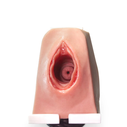 MW230 Cerclage Model