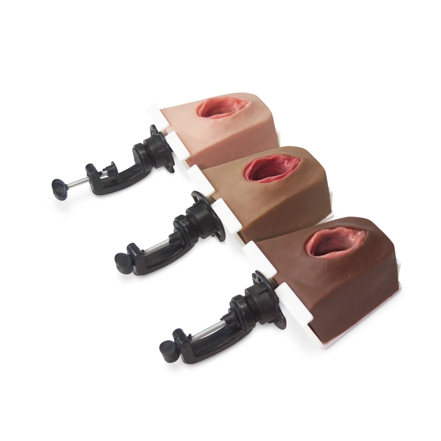 MW230 Cerclage Model