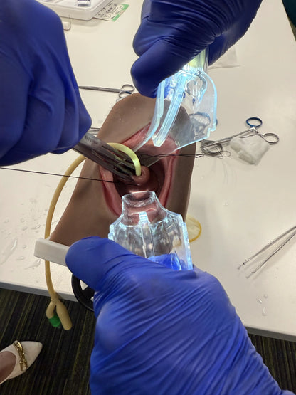 MW230 Cerclage Model