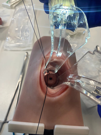 MW230 Cerclage Model