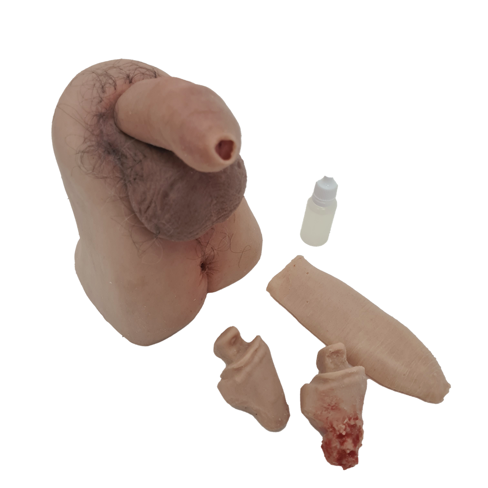MW300 Male Genitalia Trainer