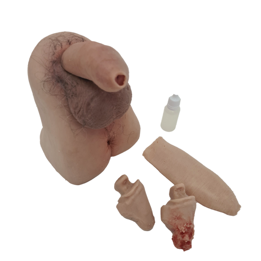 MW300 Male Genitalia Trainer
