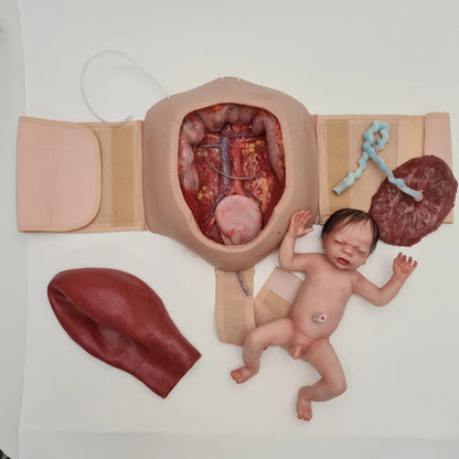 MO750 Wearable C-section model image 1