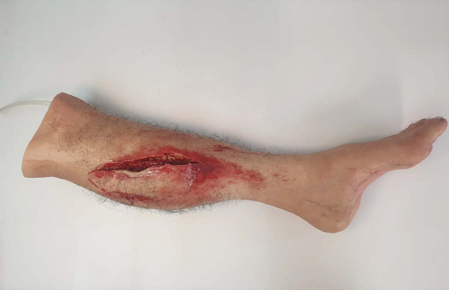 MT819 Trauma Training Lower Leg With Foot image 0