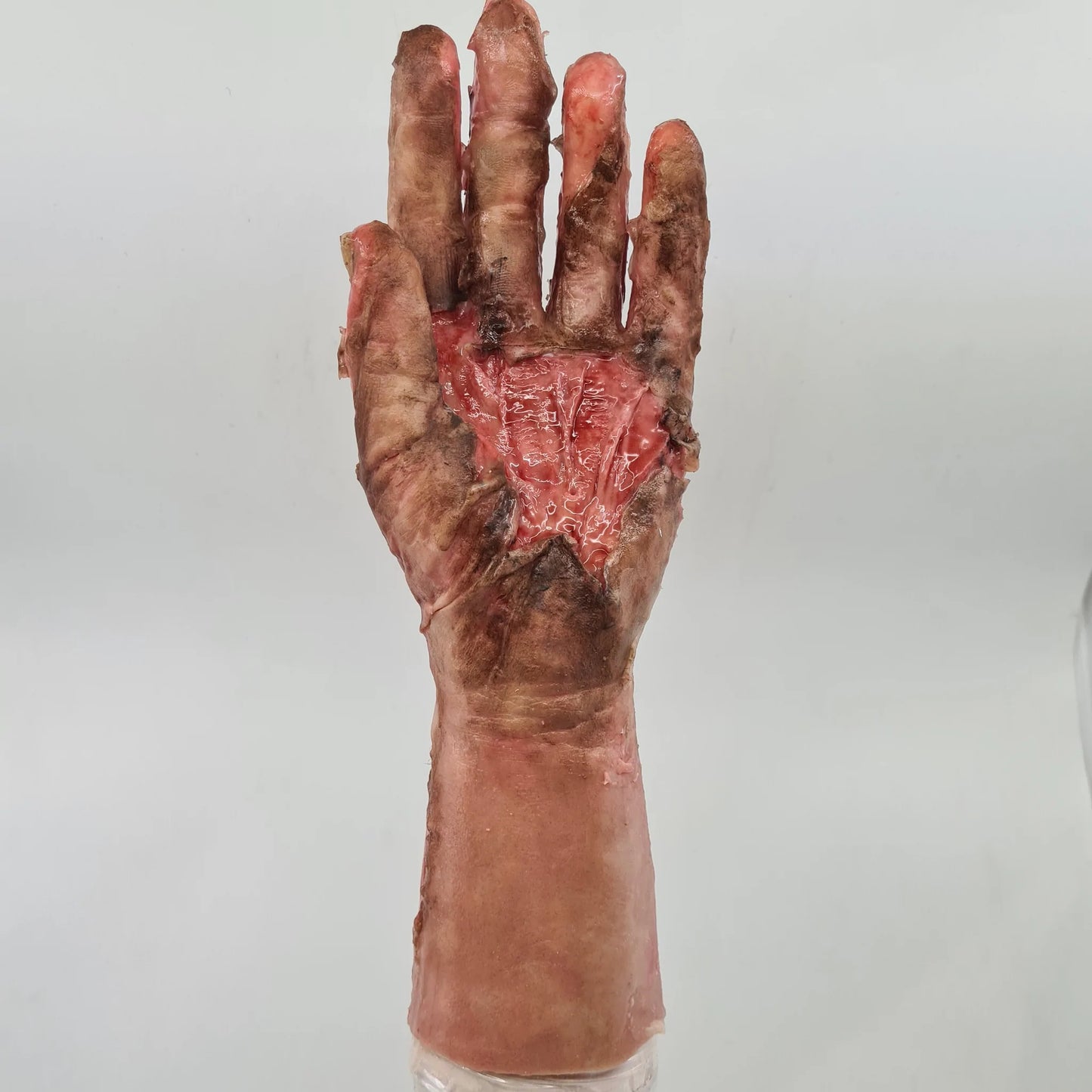 MB215 Burned Hand image 1