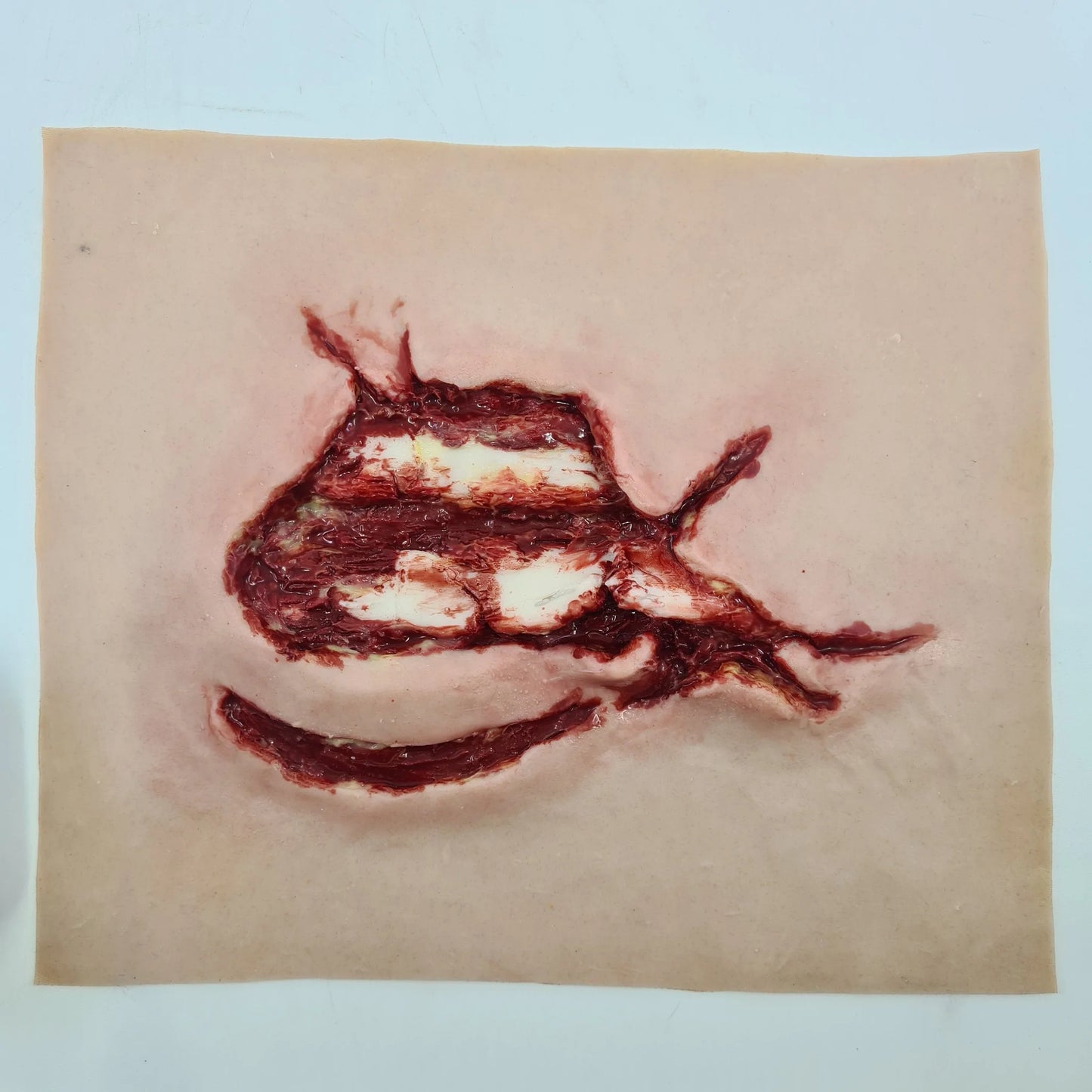 MT320 Exposed Ribs image 0