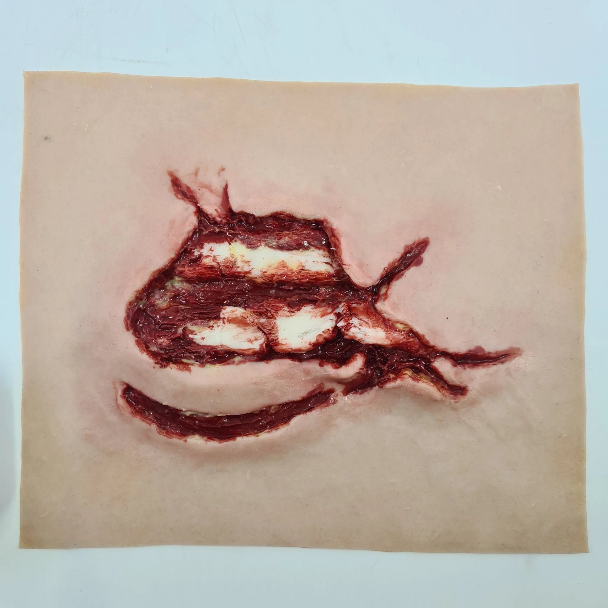 MT320 Exposed Ribs image 0
