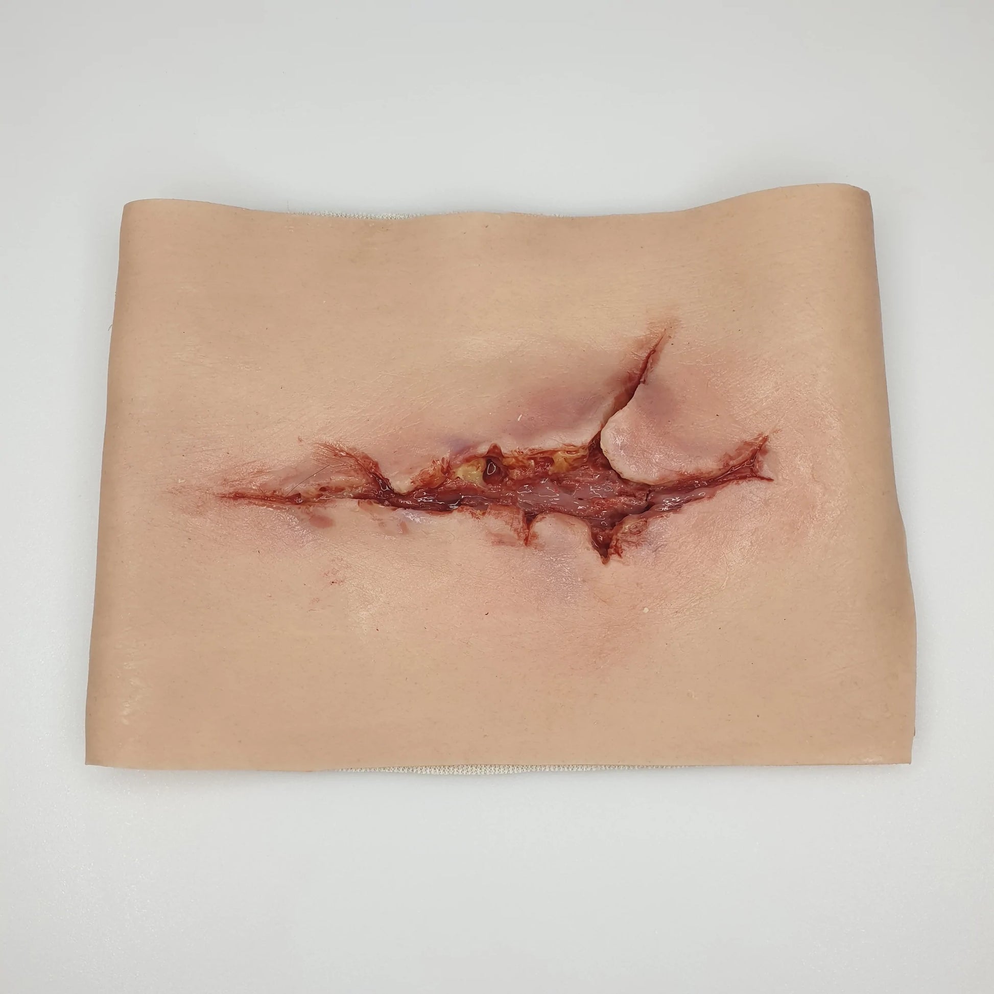 MT110 Large Laceration image 0