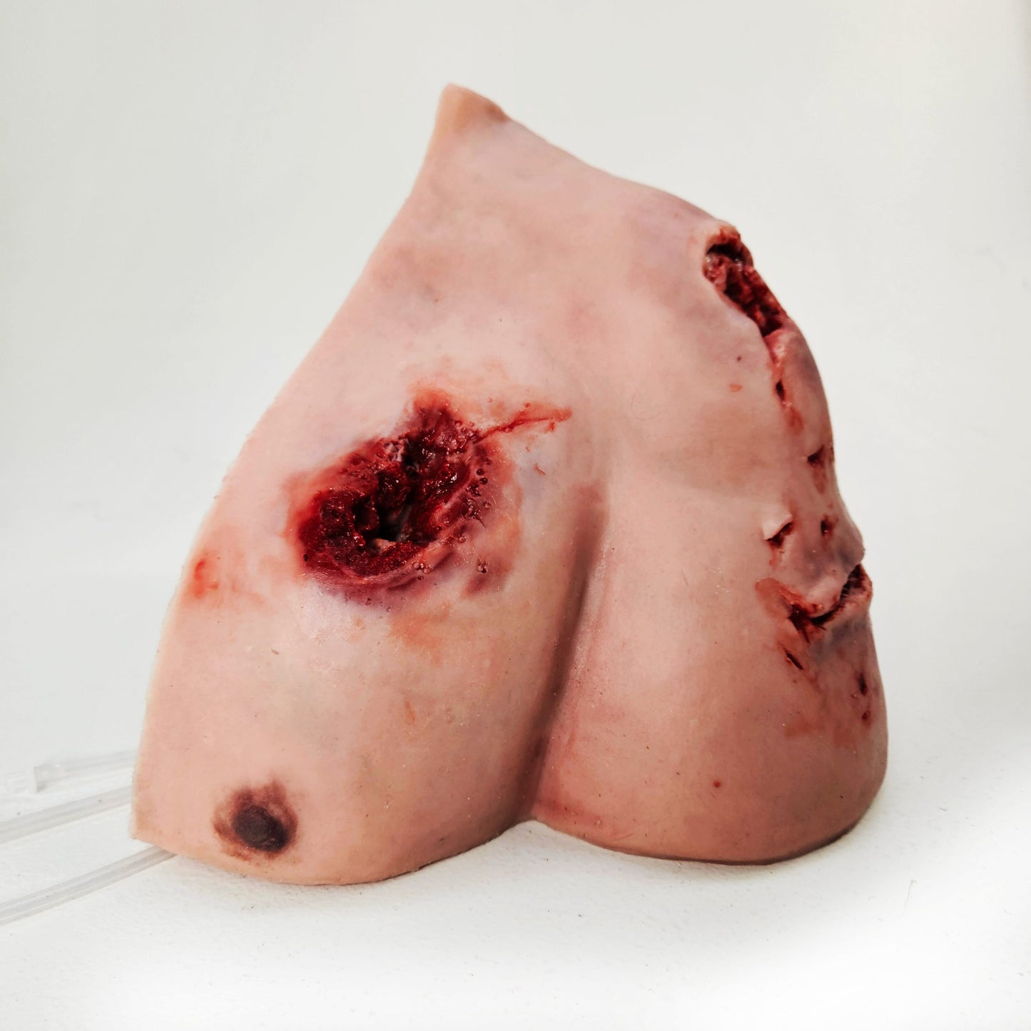 MT830 Trauma Wound Packing Shoulder (Great video below) image 2