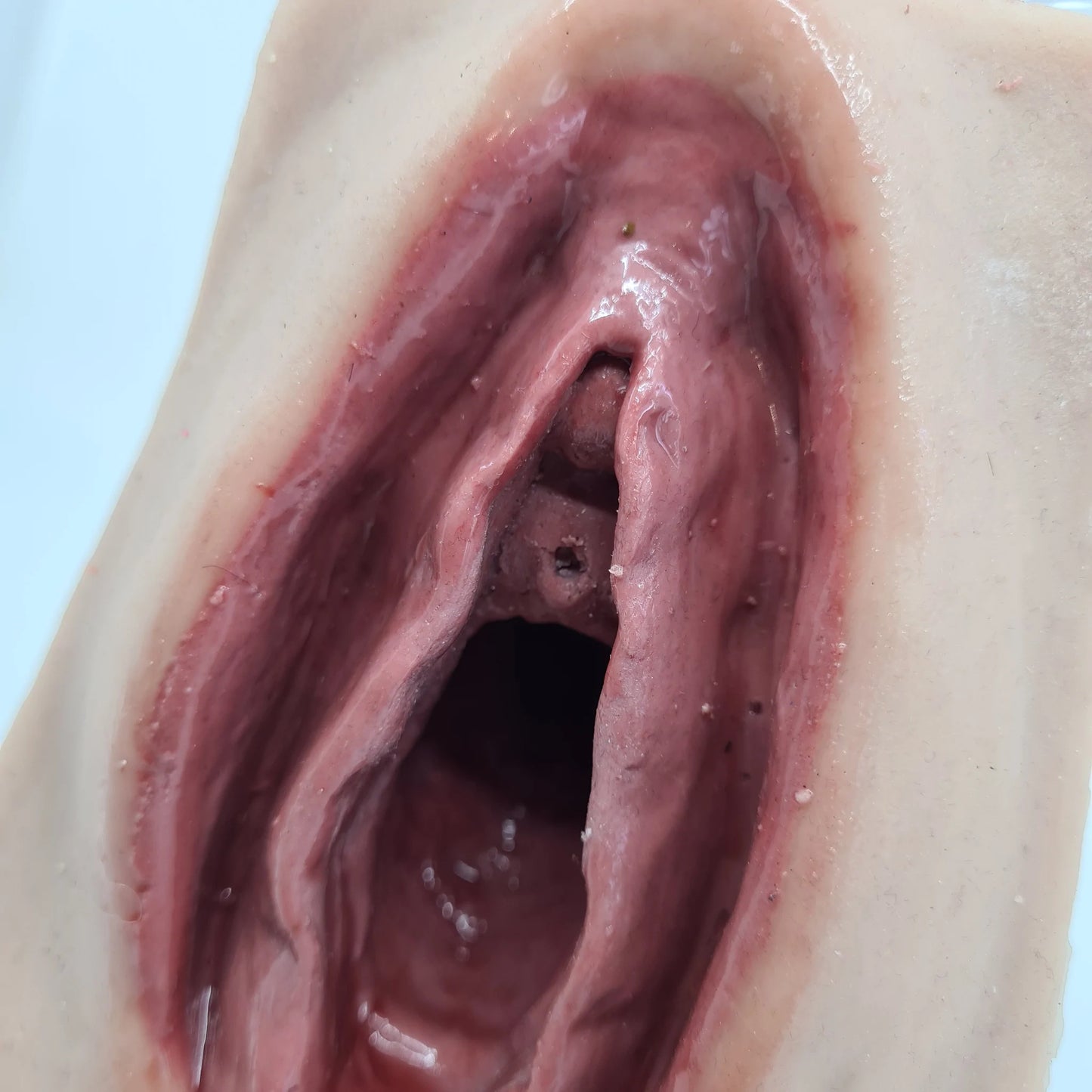 MW227 Advanced Perineal Suture Trainer image 1