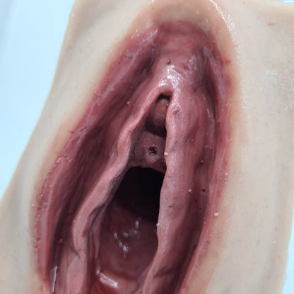 MW227 Advanced Perineal Suture Trainer image 1