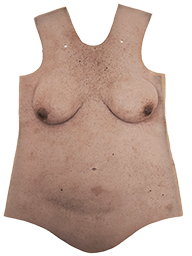 Torso Female DD MM550 image 1