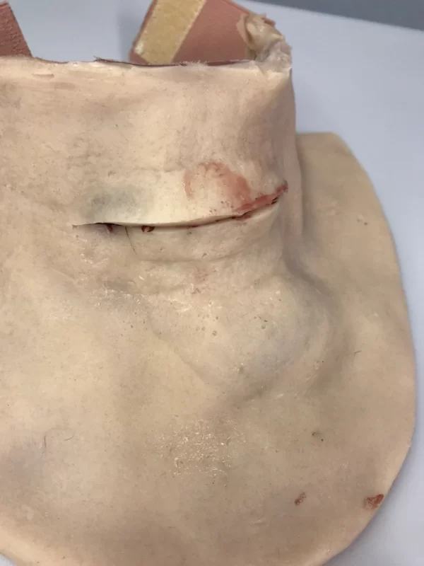 Surgical neck trainer